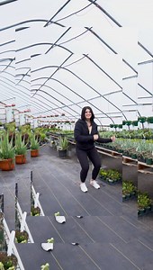 3K views · 64 reactions | The Savvi Full Zip Fleece Hoodie will make you dance! It is just that amazing!! So many colors to choose from with sizes up to 2x! Get them in our Featured Styles section in the APP! #savvi #featuredstyles #besthoodieever | Savvi Lifestyle Co | Facebook