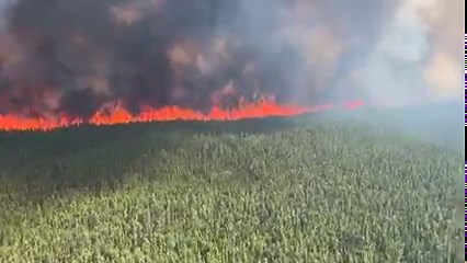 The West Kiskatinaw River wildfire (G70645), located 10 kilometres east of Tumbler Ridge, continues to exhibit extreme fire behaviour. This video, taken this afternoon, shows the intensity and volatility of forest fuels at the head of the fire under low-to-moderate winds. Fire activity is expected to increase further as easterly winds increase this afternoon. A shift to westerly winds is expected on Saturday; until then, easterly winds will continue to restrict ground and aerial suppression. The