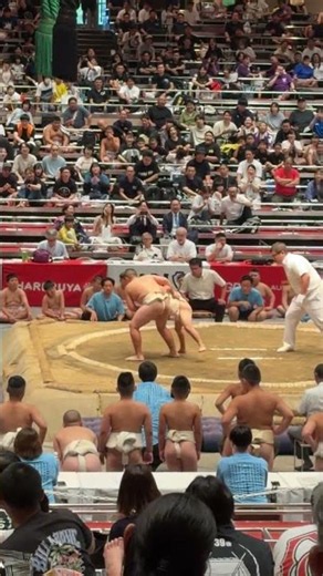 Never Underestimate This Little Sumo