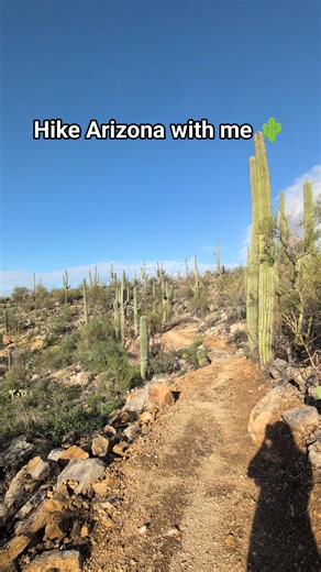 Arizona is so beautiful ❤️🌵 #arizona #hikingadventures #trending #nature | I Love Arizona