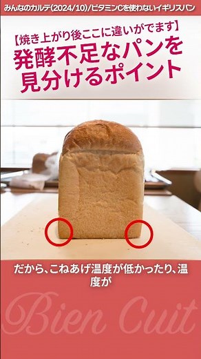 【個別指導】食パンの角の形で判断できること #パン生地 #shorts #パン研究家 #料理 #技術のレッスン