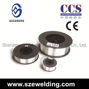 [Hot Item] Er308L Er309L Er316L Stainless Steel MIG TIG Welding Wire