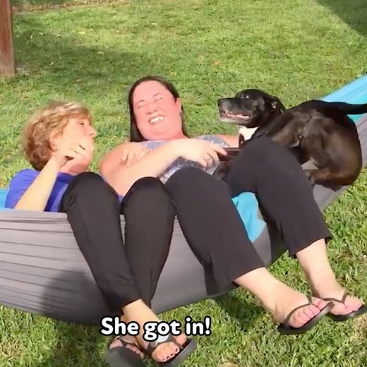 Good, better, BEST — these fails are above the rest!! 🤣 | America's Funniest Home Videos