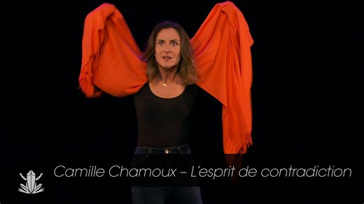 Camille Chamoux - L'esprit de Contradiction