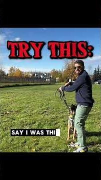 How to Use DOG PARKS to Stop Reactivity 😱