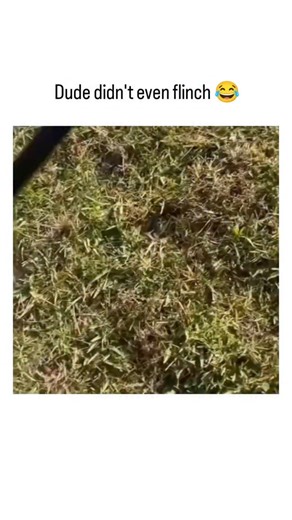 DailyIRL.Vibe on Instagram: "This viral clip from December 2024 shows a woman confronting a fisherman for allegedly illegal fishing on private property; she swings at him in anger but misses, tumbling toward the water while he stands unflinching, her dog adding unintended comic relief. Shared by @InternetH0F , a curator of iconic online moments, the post revives the footage to emphasize the man's stoic reaction, amassing 89K views and 1.3K likes shortly after posting on February 1, 2026. Audienc