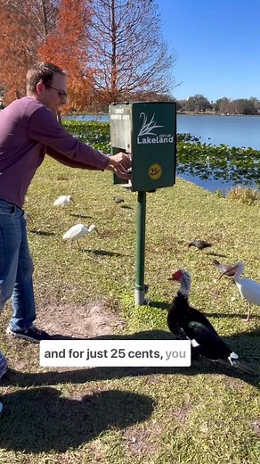 Discover Central Florida's hidden gem—closer than you think!📍✨ | Visit Central Florida