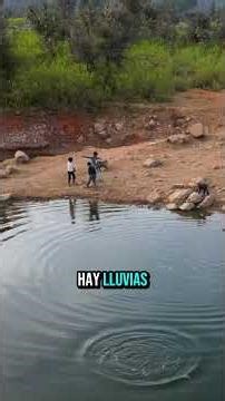 The Indian village that lowered the temperature by 3°C by planting trees and digging ponds now has