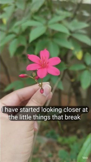 A small change in place, a big change in mind. 📚✨#shorts #library #youtubeshorts #flowers