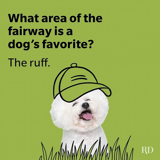 105 Funny Golf Jokes Guaranteed to Be a Hole-in-One