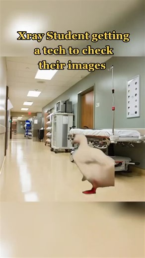 . 𝗆𝗎𝗌𝗍𝖺𝖿𝖺 on Instagram: "The accuracy😂 #radiographer #radiologytech #radiologist #radtech #xraylife"