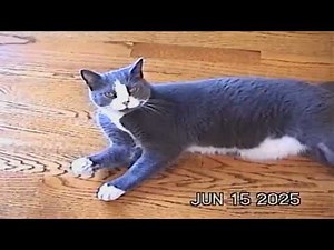 slower burn - hunter/gatherer (slow burn slowed + reverb)