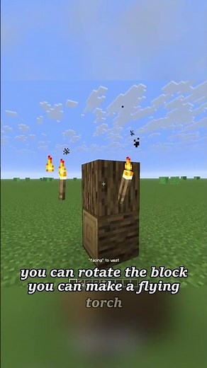 This Stick Can Break Minecraft Logic 😱😱😱