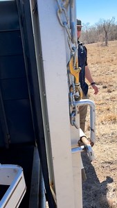 Young Sable bull we moved from our home pens out to the bigger ranch to grow out. He is a son of 47” Vader. Get in touch if interested in getting these type of views to your home/ranch. WHERE QUALITY MATTERS RJ Cruz CrossRiver Exotics LLC 210-501-7744 #crossriverexotics #crossrivergeneticscrossrivergenetics texas texasexotics exoticwildlife africanwildlife wildlifephotography | CrossRiver Genetics