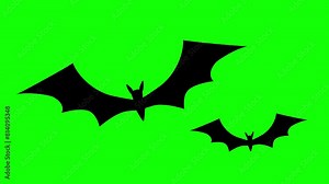 2D flying black bat video animation with alpha channel transparent background. 4k videos Stock Video