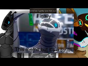 11 Synth Furry Memes That Live Rent Free My Head