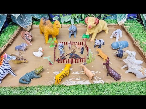 Zoo Safari Showdown: Jungle vs. Zoo Animals in Mud Madness Rescue Mission!