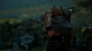 Assassin's Creed: Valhalla - How To Add An Adorable Cat To Your Longship Crew | Location Guide - Gameranx