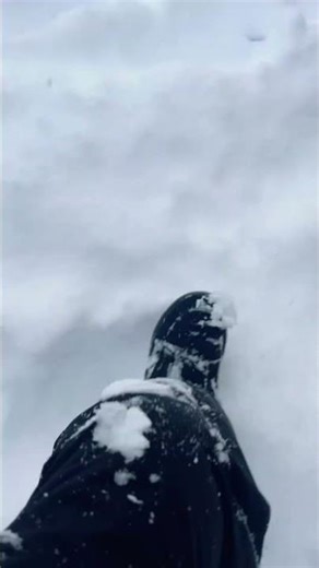 Bro #quicktext #fingerboard #wordform #fingerboard #fingerboarding #memes #fingerboarding