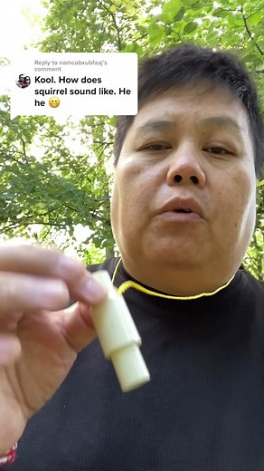 Distressed Baby Squirrel Call - Mimicking the Sounds of Nature