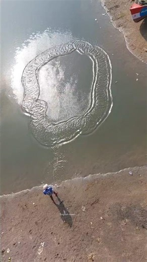 sea fishing net fishing #fishing #fisherman #seafishing #fish #shorts #casting