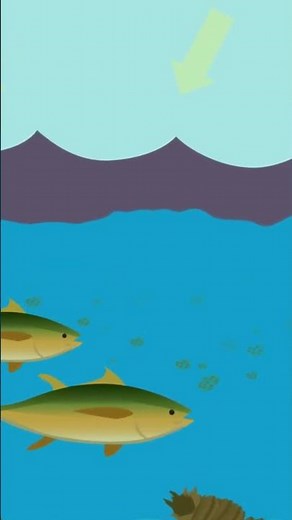 What is Eutrophication? The Shocking Impact on Water Ecosystems!