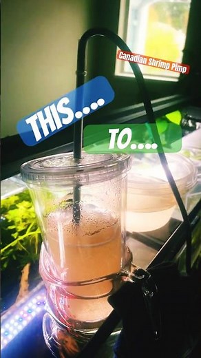 Upgraded my BRINE SHRIMP brew game! So happy!!