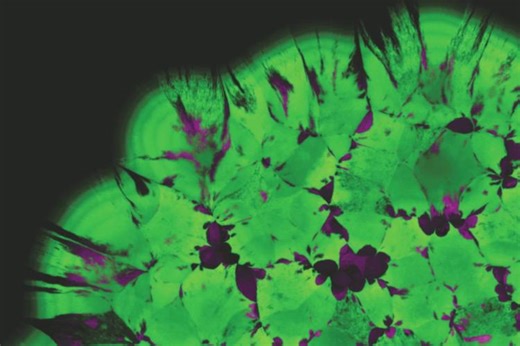 Submit Brief Reports to PNAS and PNAS Nexus to share timely findings, focused conceptual advances, or new data on unresolved questions. Brief Reports are concise, interdisciplinary, and published open access. PNAS: https://ow.ly/siTj50XQ10J PNAS Nexus: https://ow.ly/xkPc50XQ10K | PNAS