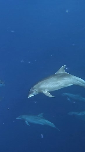 2.3K views · 17 reactions | Explanation of 3 sounds made by...