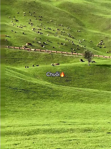 Giữ Chuỗi: mẹo tạo thói quen 'Chuỗi' cho ngoại lệ | Bính An Tết 2026