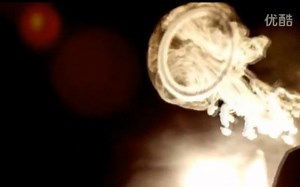 VGOD全球最牛逼的烟雾表演团队 烟雾技巧 吐烟圈 5