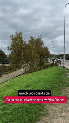 Calculate Your Netherlands 🇳🇱 Visa Chances | Schengen Visa Success Guide 2025 | Apply Smart