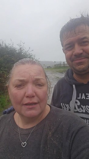 7.6K views · 76 reactions | The Wonky Donkey Community Farm CIC on Reels | Facebook