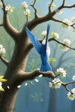 Featherlight Mountain Air Lo-fi #CuteAnimation #azuretit #CBStudio #cute #kawaii #bird #lofi