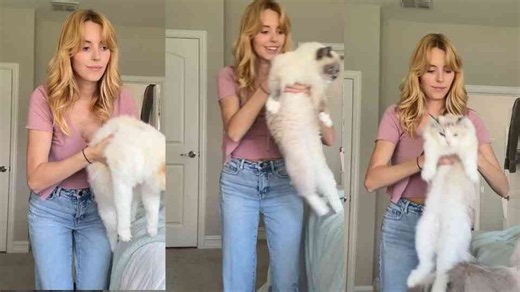 Does your cat pass the ragdoll test?
