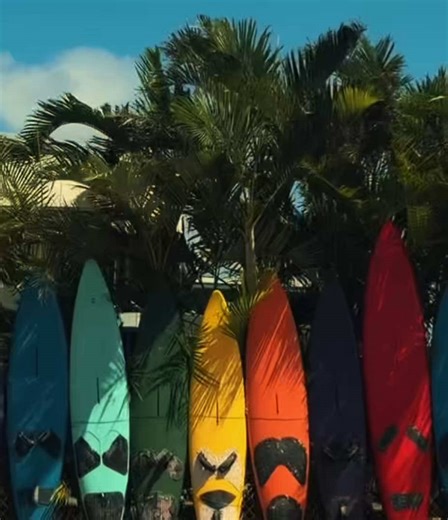 Experience the Beauty of Maui Life