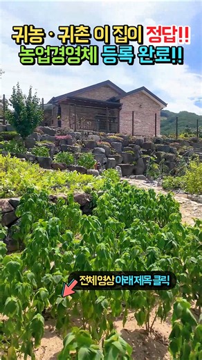 (급매) 농사짓고 전원생활 꿈꿨다면!! 밭 303평에 광역상수도 완비된 파쇄석 마당 집!! 전원주택 매매 급매물 #shorts
