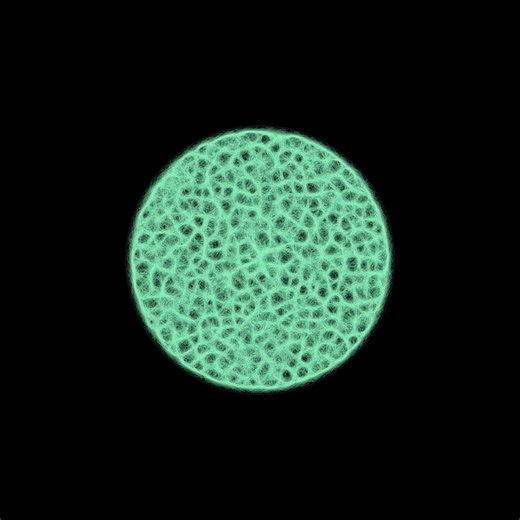 Bio-Algoritmos: Physarum Polycephalum / Mutación Celular