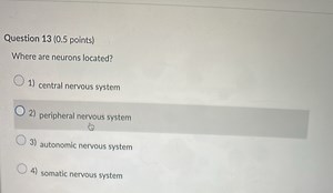 Question 13 ( 0.5 points)Where are neurons located?1) central... | Filo