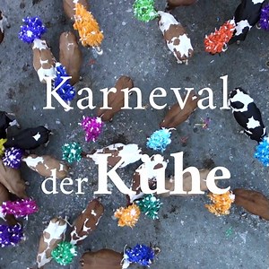 Beim jährlichen Almabtrieb in der Kelchsau geht es bunt zu. Was den Zuschauern alles geboten wird, erfahrt ihr mit Klick auf den Link! :) https://www.blog.tirol/2014/08/almabtrieb-kelchsau/ | Tirol – Herz der Alpen