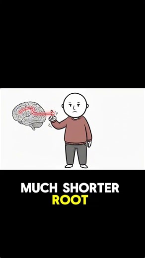The Neurological Reason Extroverts Think Out