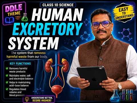Human Excretory System Explained | Class 10 Science Chapter 6 | Life Processes | DDLE