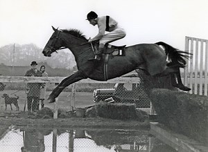 Arkle: the ‘immortal’ racing superstar who won three Cheltenham Gold Cups - Horse & Hound