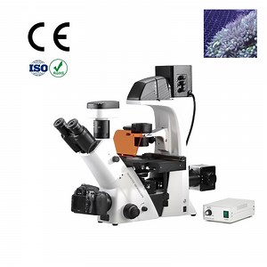 [Hot Item] Inverted Fluorescence Microscope with Seidentopf Trinocular Head Inclined 45°