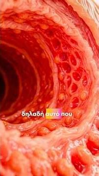 Πρόβλημα με το έντερο και πως η γλουταμίνη μπορεί να βοηθήσει! -Απόλλωνας Καψάλης #shorts