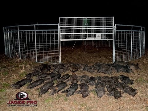 JAGER PRO™ Hog Trapping (29) Integrated Wild Pig Control™