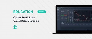 Option Profit/Loss Calculation Examples