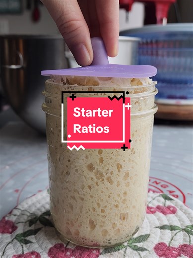 Mastering Sourdough Starter Ratios for Success