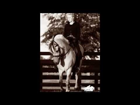 Norwegian Fjord Stallion PCF Vidar