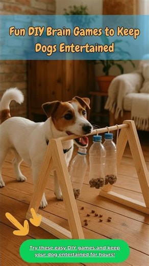 Fun DIY Brain Games to Keep Dogs Entertained.